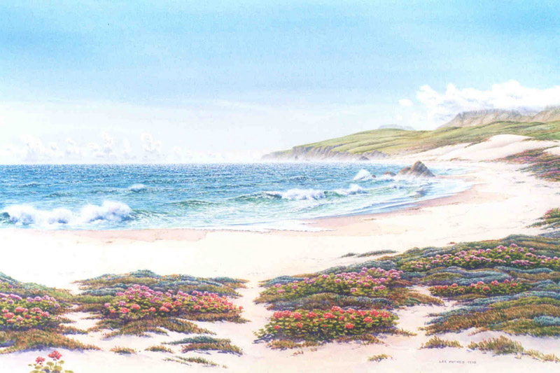Illustration for article titled The Lost Culture Of New Island Is 43,500 Years Old